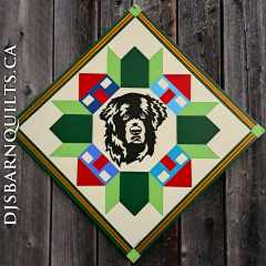 Newfoundland Dog-Custom 