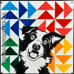 'Ziggy' Border Collie 24"