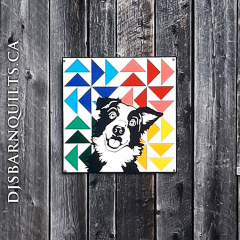 'Ziggy' Border Collie 24"